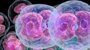 segunda terapia génica contra el cáncer